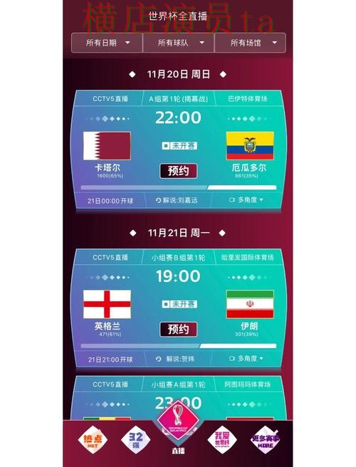 世界杯直播来临，世界杯买球网站访问方式与平台选择精选